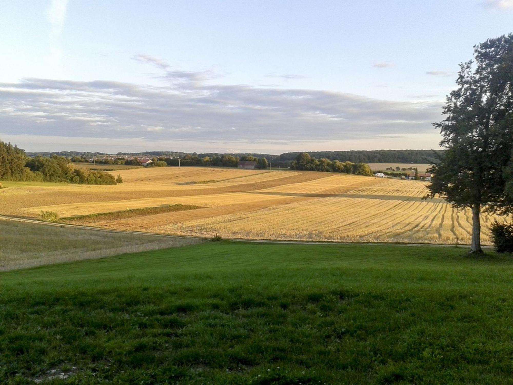 Hof Am Horn - Fewos In Der Natur Laichingen Buitenkant foto