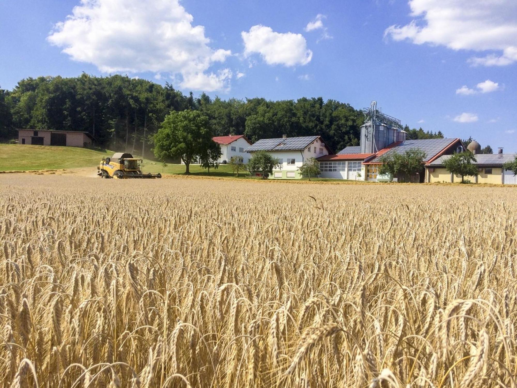 Hof Am Horn - Fewos In Der Natur Laichingen Buitenkant foto