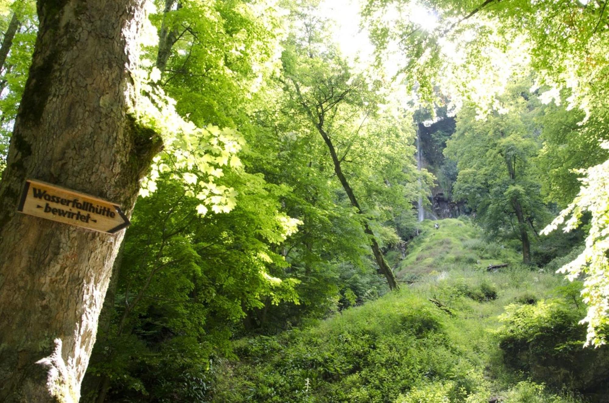 Hof Am Horn - Fewos In Der Natur Laichingen Buitenkant foto